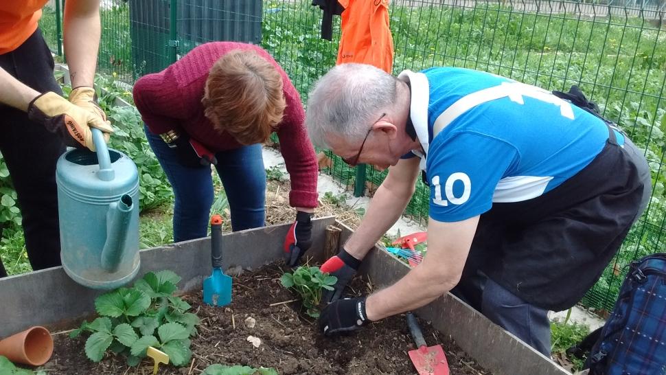 Foyer accueil médicalisé résidents cultivent jardin adapté