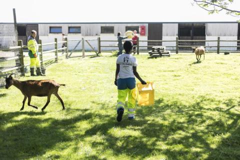 Quand les animaux aident à lutter contre l’isolement des personnes handicapées 