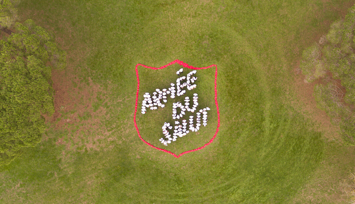 Les raisons de nous rejoindre