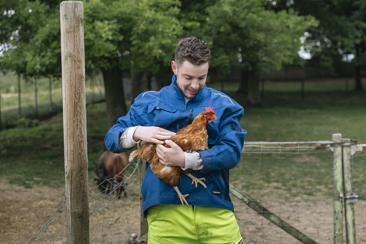 Domaine du Château d'Auvilliers Arthur DA COSTA Bénéficiaire Ferme